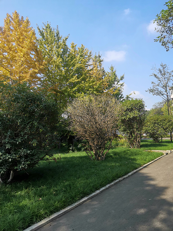 安博官方网页版_安博(中国)