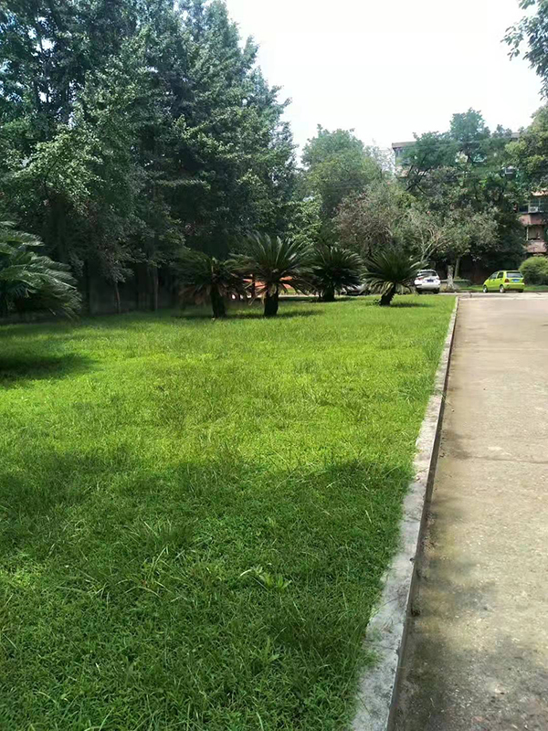 安博官方网页版_安博(中国)